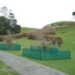 Hobbiton Set Being Rebuilt