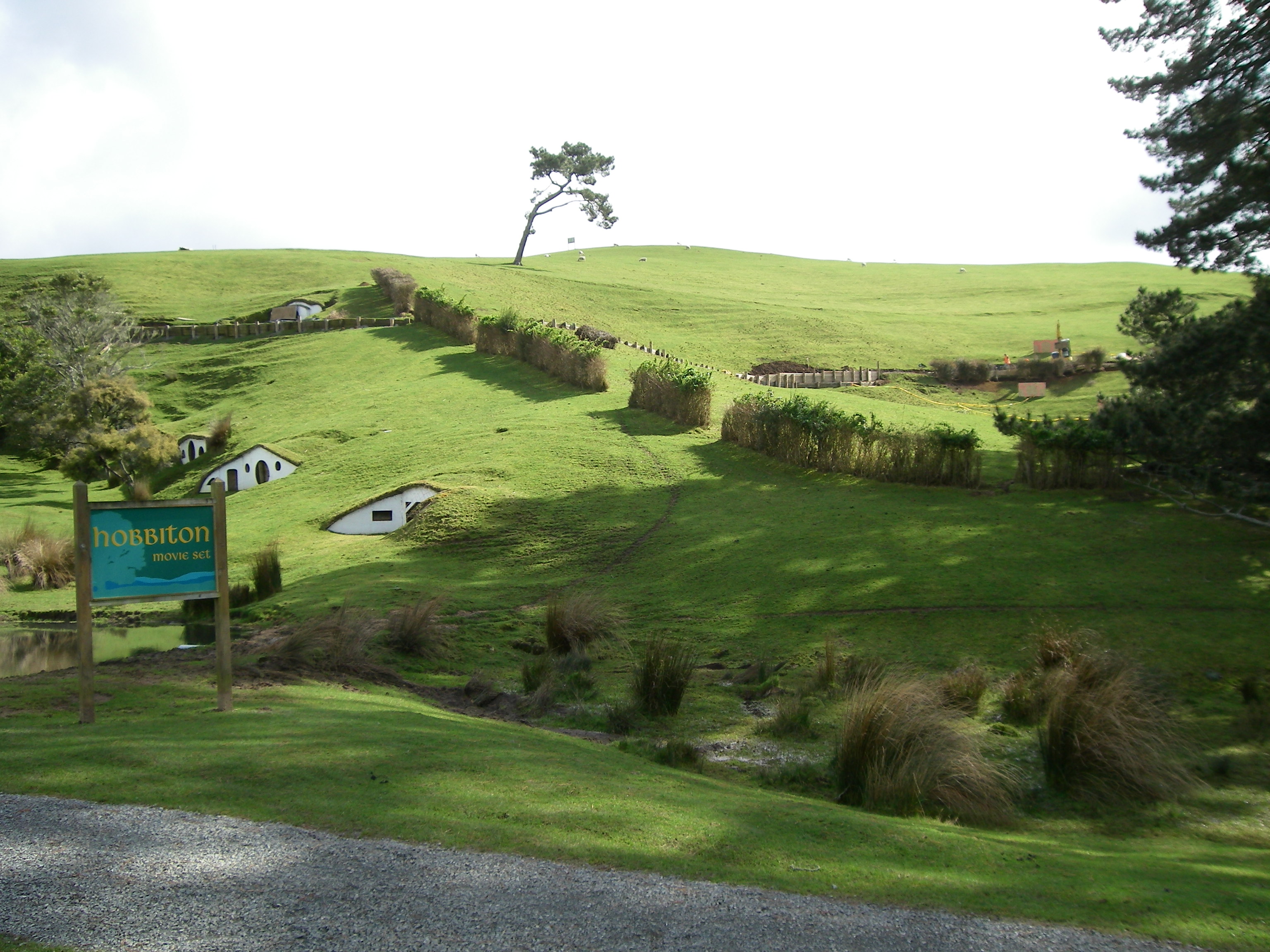 IMGP0707.JPG