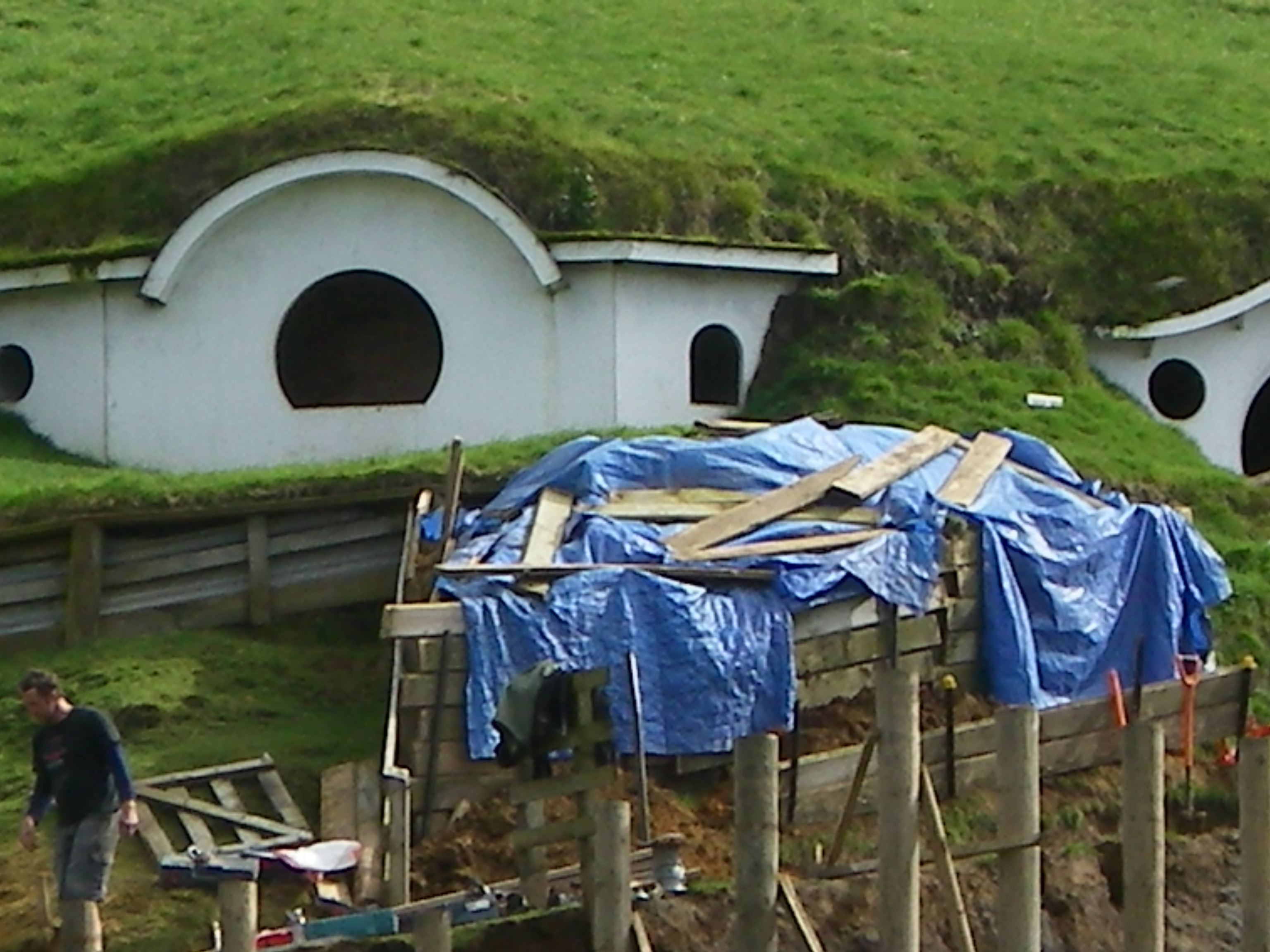 IMGP07142.JPG