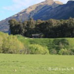 Near view: Hobbit set on South Island