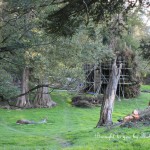 Close-up: Hobbit set on South Island