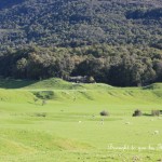 Wide view: Hobbit set on South Island