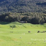 Wide view: Hobbit set on South Island