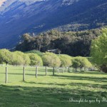 Wide view: Hobbit set on South Island