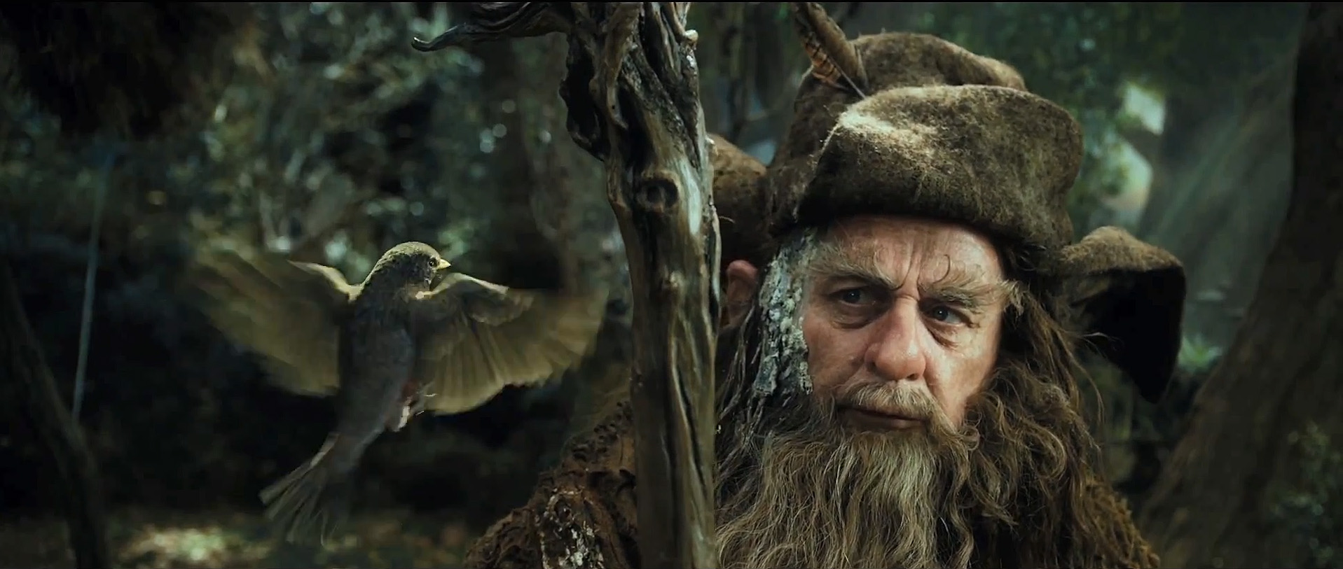 Radagast the Brown communes with a bird