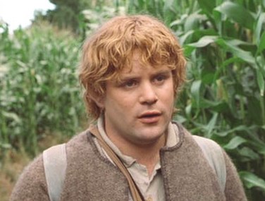 All About Sam – Why the Main Character of ‘The Lord of the Rings’ is ...