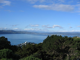 Number 4: Wellington and Environs - Wellington Harbor from Mount Victoria. Get off the road.