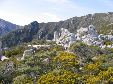 Honorable Mention # 1: Helicoptering Near Nelson - Watch your feet!