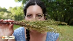 Woman with braided hair outdoors, holding a bundle of dried herbs across her face and smiling in a park setting.