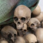 Close-up of a weathered skull sculpture resting among smooth pebbles with a green textured background above.