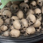 Pile of dusty human skulls stacked in a mound, with green leaves overhead.