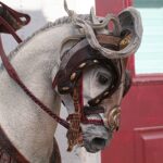 Close-up of a knight in ornate armor mounted on a gray horse, detailed gold accents, against a red wall.